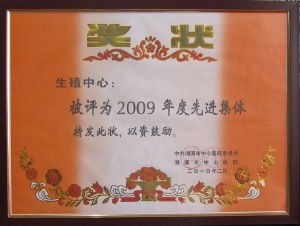 2009年度先进集体